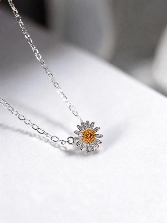 Daisy Whisper